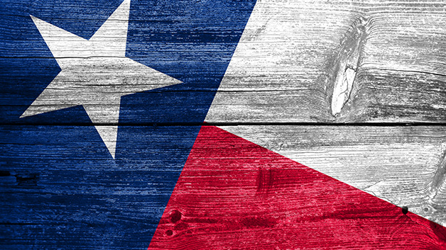 Texas Flag on Wood
