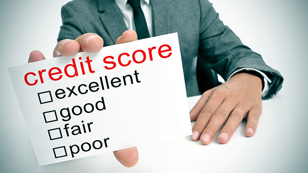 Business Credit Score