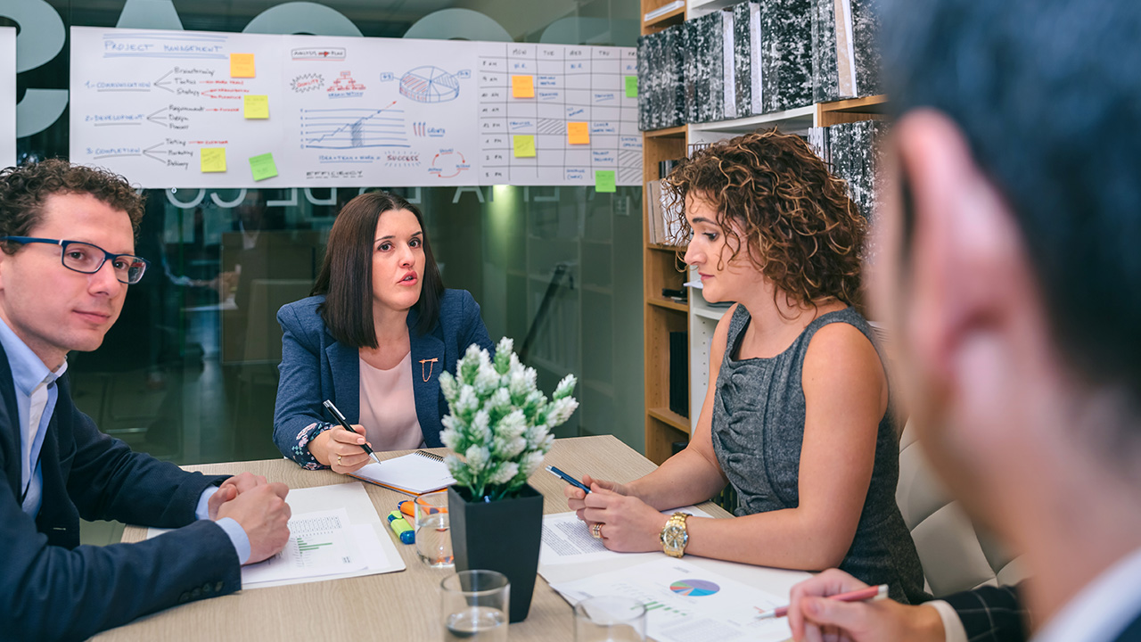 Businesswoman talking in a meeting